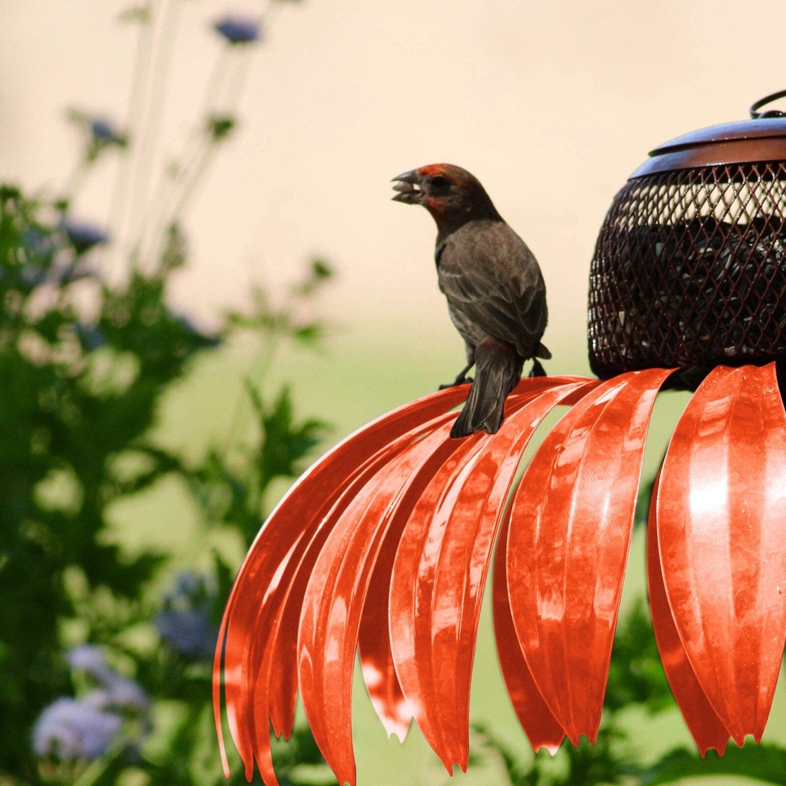 GardenGrove™ Vogelfutterhaus – 50% RABATT heute!